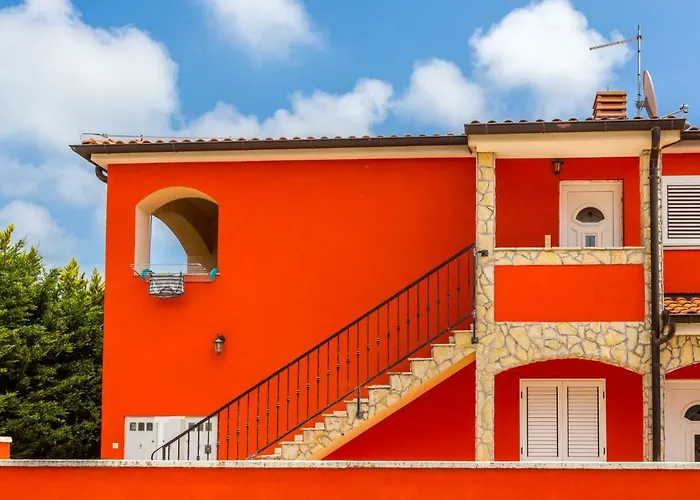 Orange Ii * 메덜린